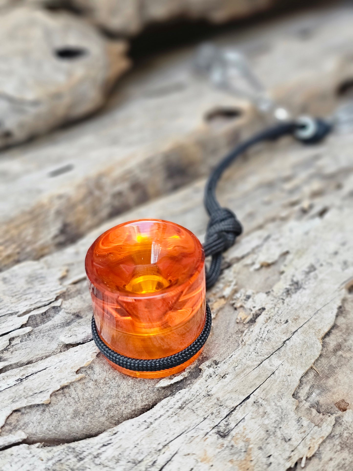 Black Bellied - Fulvous - Gloss Bourbon