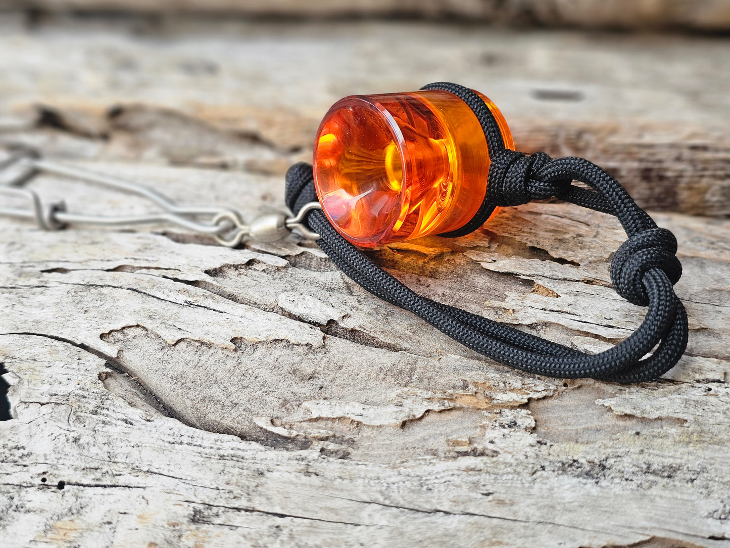 Black Bellied - Fulvous - Gloss Bourbon
