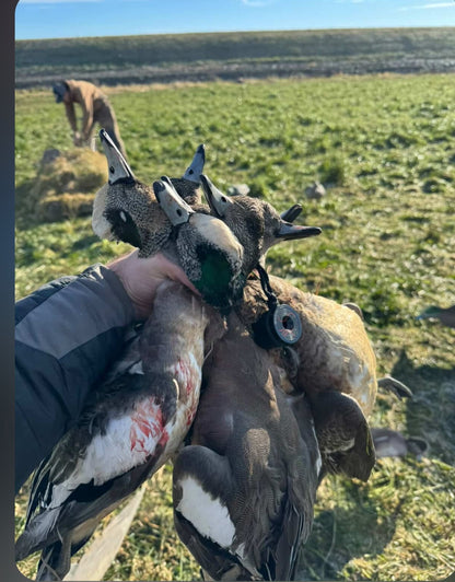 Wigeon - Bead Blasted Black