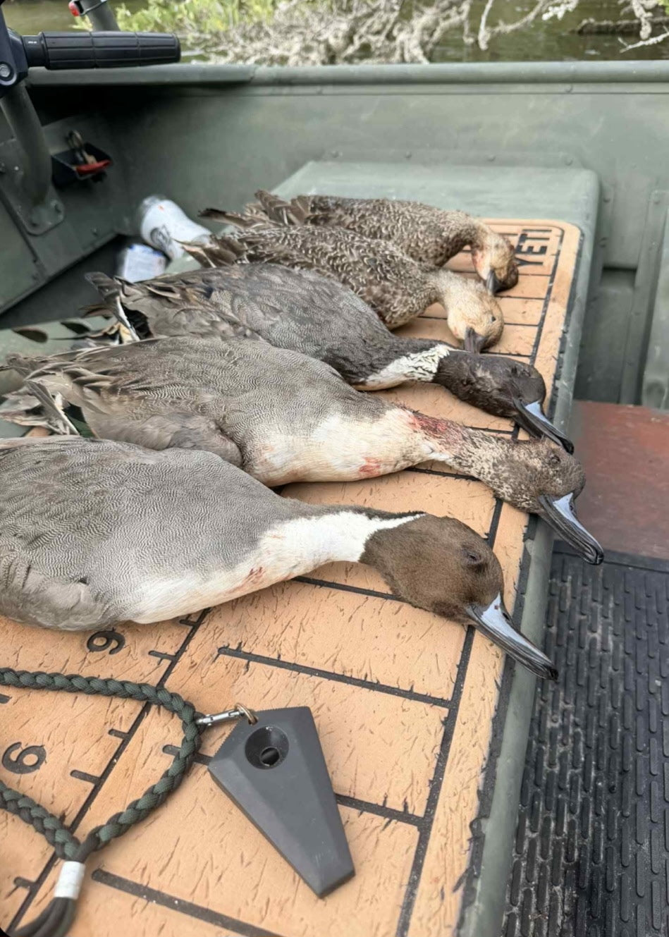 Pintail - Black Bead Blasted