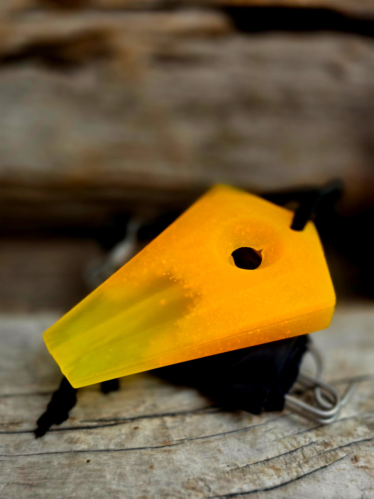 Pintail -Scotch Bonnet