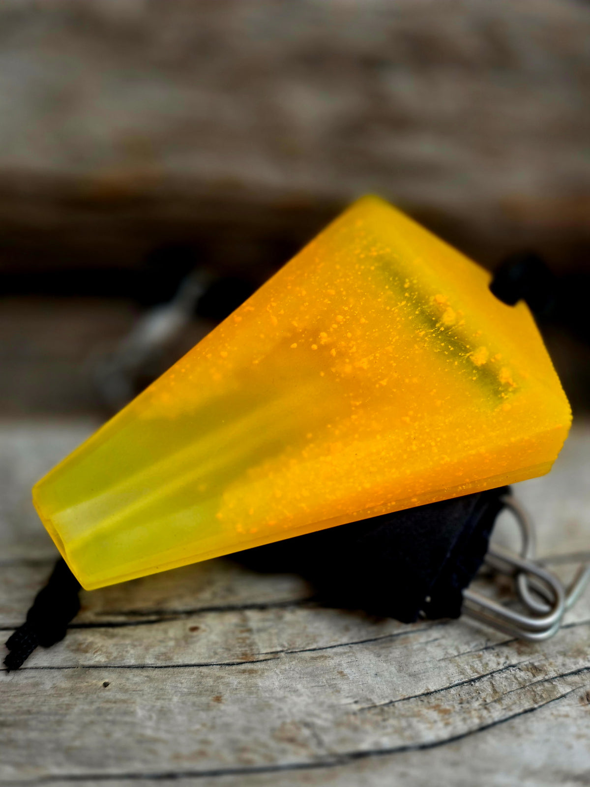Pintail -Scotch Bonnet